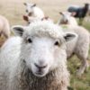 介護支援専門員（ケアマネ）の試験に合格した私の勉強法
